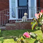 Birds Eye View ويتبي