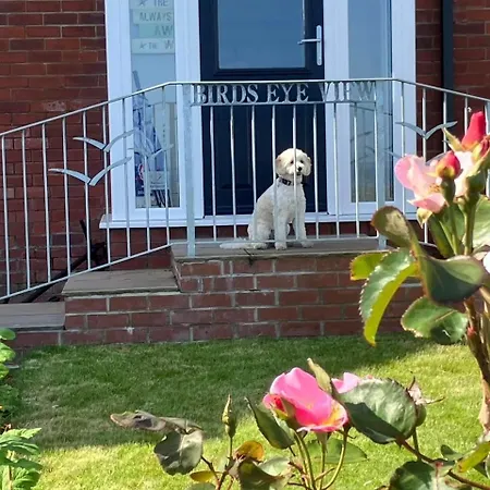 Birds Eye View Whitby