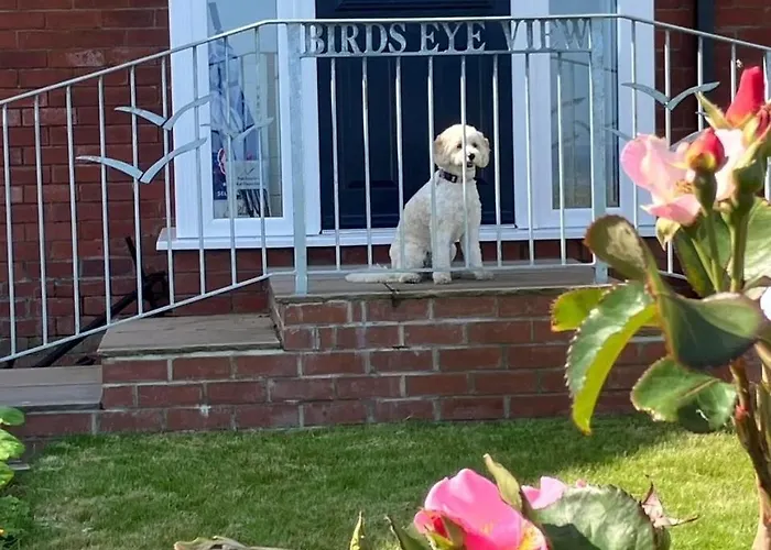 Birds Eye View Whitby